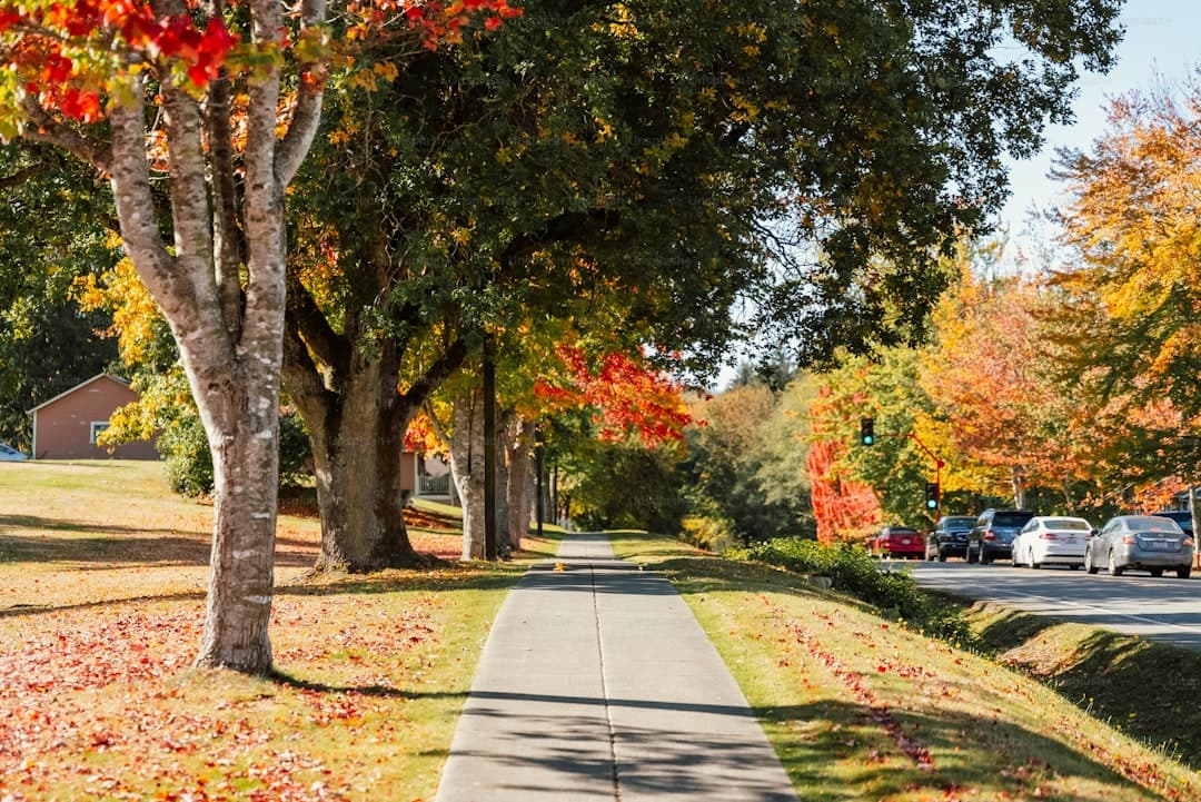 Full Scholarships at Canadian Universities for International Students