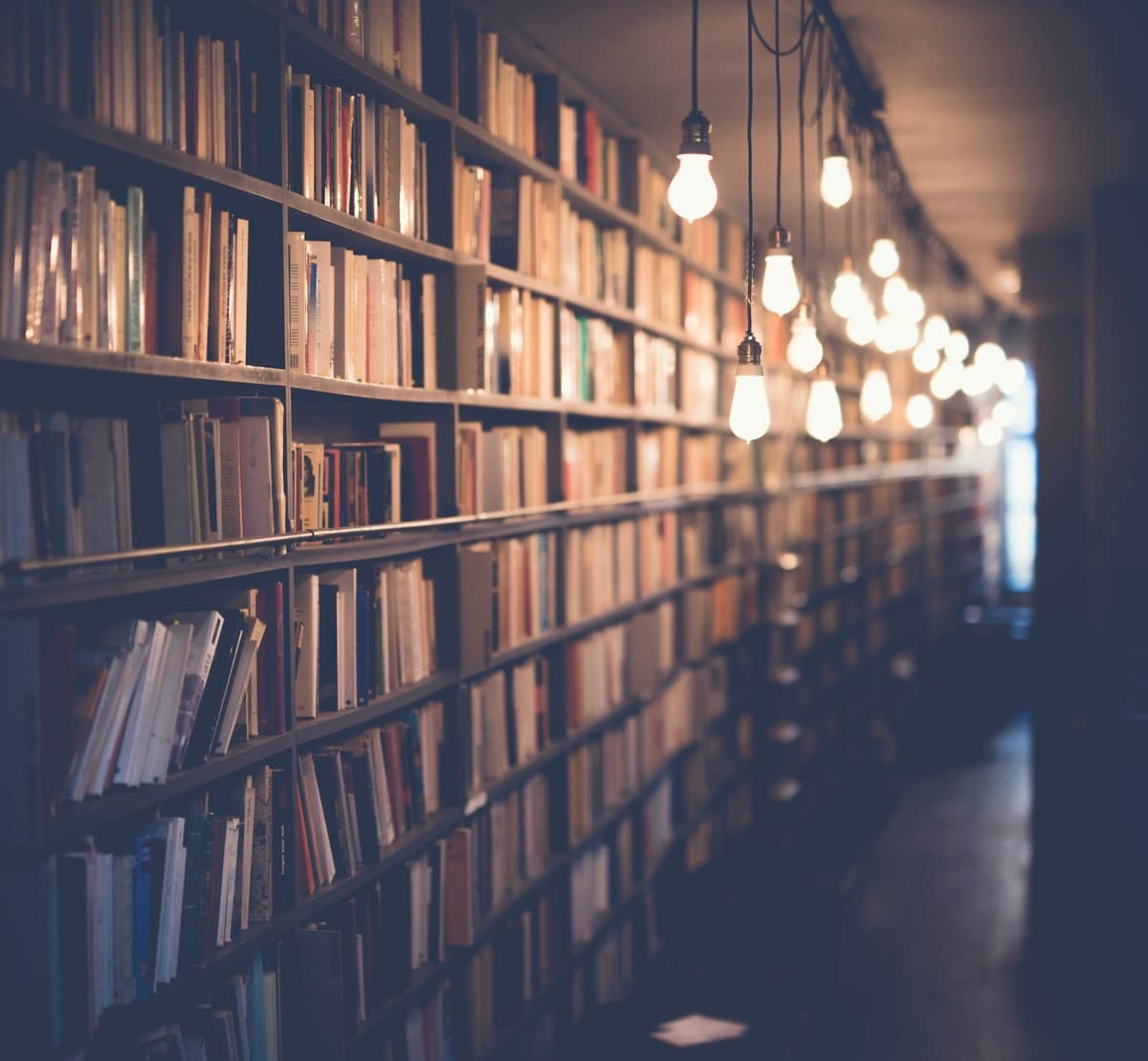 4 Universities with No SAT Requirement & Full Funding for International Students (Part 5)