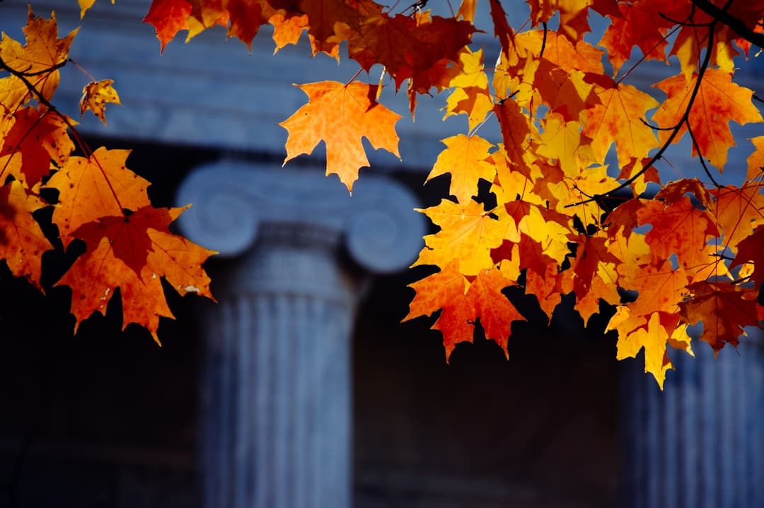 Princeton University: Complete Guide for International Students (2026) — Full Scholarship, SAT, CSS, Deadlines