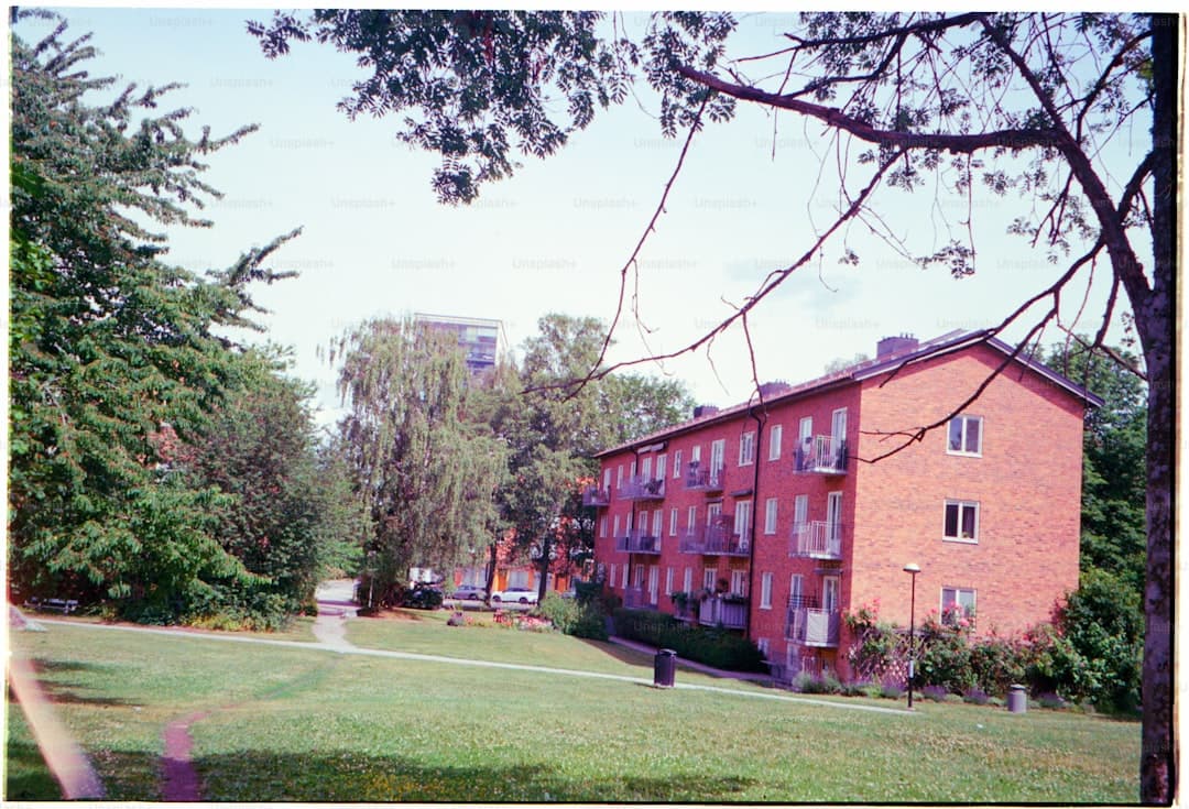 Reed College: 100% Scholarships + 25% Acceptance Rate for International Students