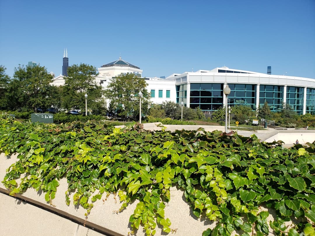 Why International Students Fail at Studying in America (Wrong Schools)